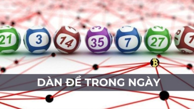 Dàn đề trong ngày - Cách nuôi dàn đề chắc ăn 100%