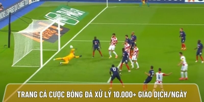 Trangcadobongda.lat trang cá cược bóng đá uy tín xử lý 10.000+ giao dịch/ngày